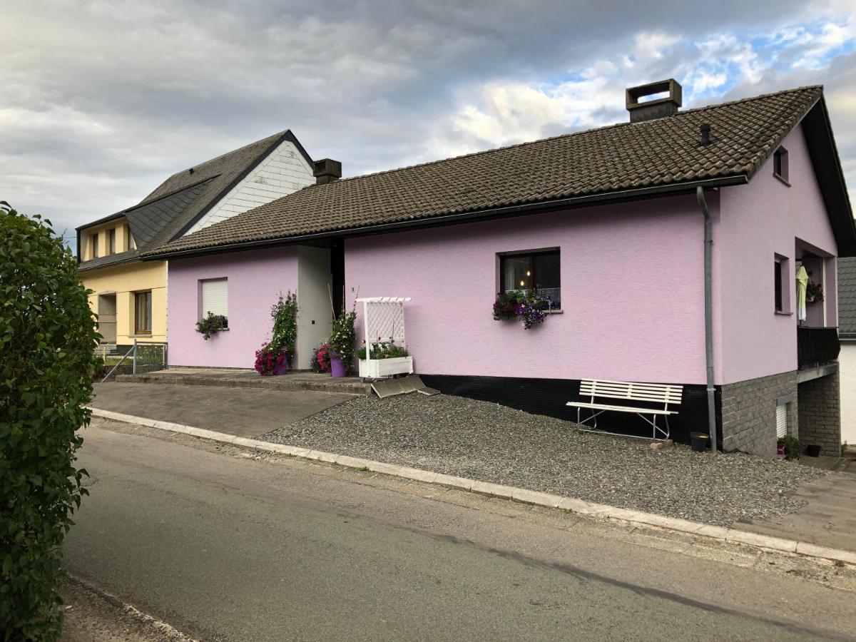 Haus Zissi Vila Burg Reuland Exterior foto